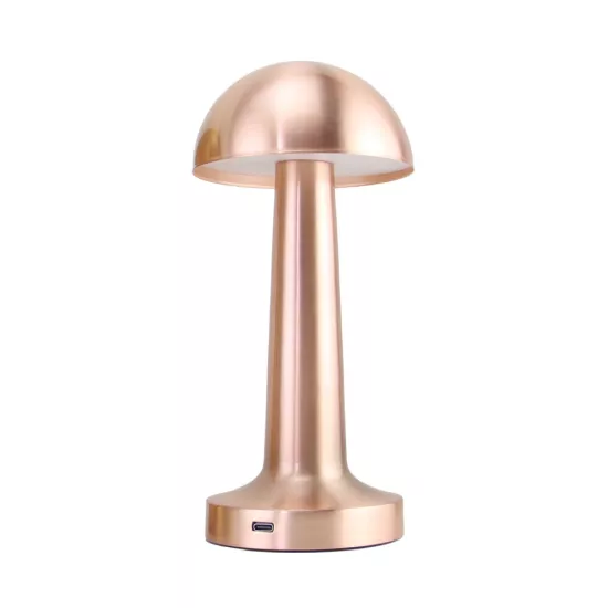 PANTHER PT-700 ROSE USB ŞARJLI MASA LAMBASI