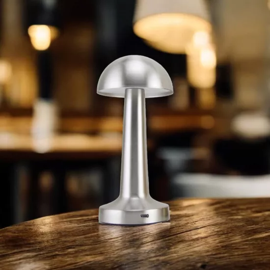 PANTHER PT-700 SILVER USB ŞARJLI MASA LAMBASI